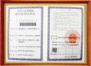 Organization code certificate